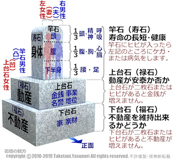 �|�J���摊